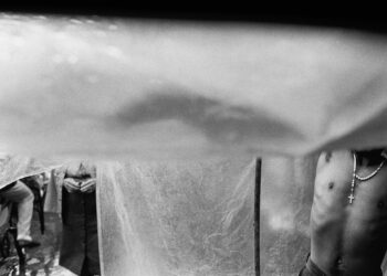 O desafio do autoral