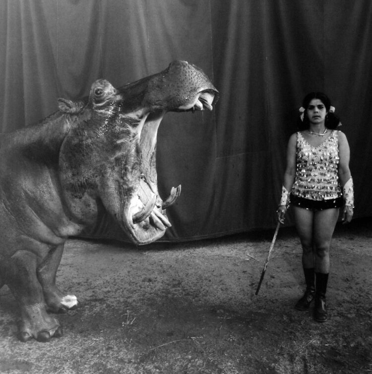 imagem da série Circo Indiano, da americana Mary Ellen Mark, que atuou em várias áreas da fotografia