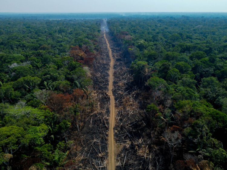 Humaitá-AM - 16/09/2022 - Área desmatada e queimada é vista em trecho da BR-230 (Transamazônica), no Município de Humaitá, Amazonas, Brasil.  Foto: Michael Dantas/AFP. Imagem Destacada ganhadora do Prêmio Portfólio FotoDoc 2023