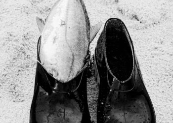 O mar: do homem, das brincadeiras, da sua fé, das suas mazelas e necessidades