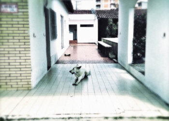 Tudo aquilo que não olhamos mais