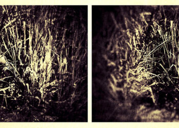 CovidAI-5 – E daí?