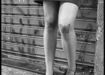 Isabela e as Borboletas