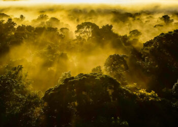 Amazônia Sul – Época chuvosa