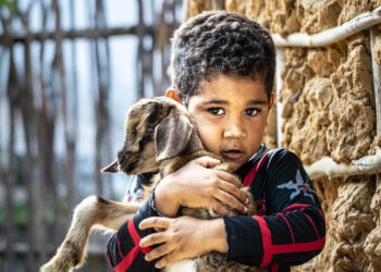 As variedades da experiência amorosa