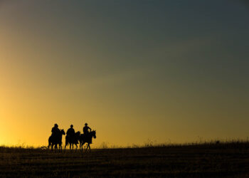 Celebração da coragem, o sertão como inspiração