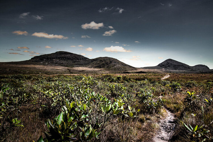 GERAIS
Início da expedição ao Vale do Pati. As gerais correspondem ao topo plano do acidente geográfico que forma a Chapada.