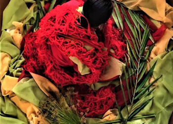 Ninho lugar de Afetos