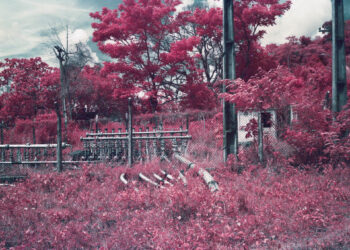 A Story on Oil, Pollution and Racism