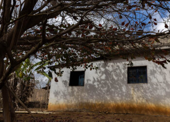 A escolha por um sonho