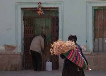 A través de las flores