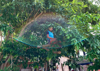 Comunidade Ribeirinha