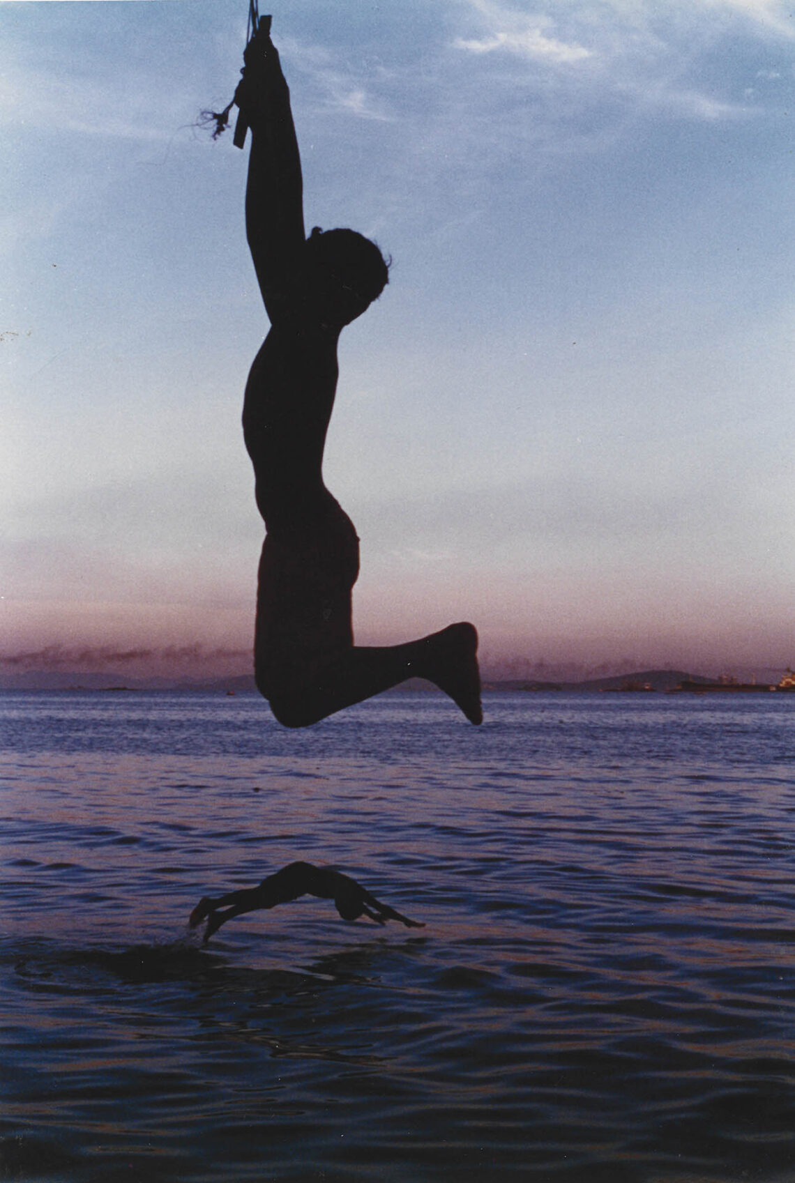 O Macaco e o Golfinho