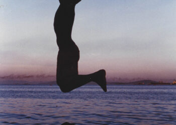 O Macaco e o Golfinho