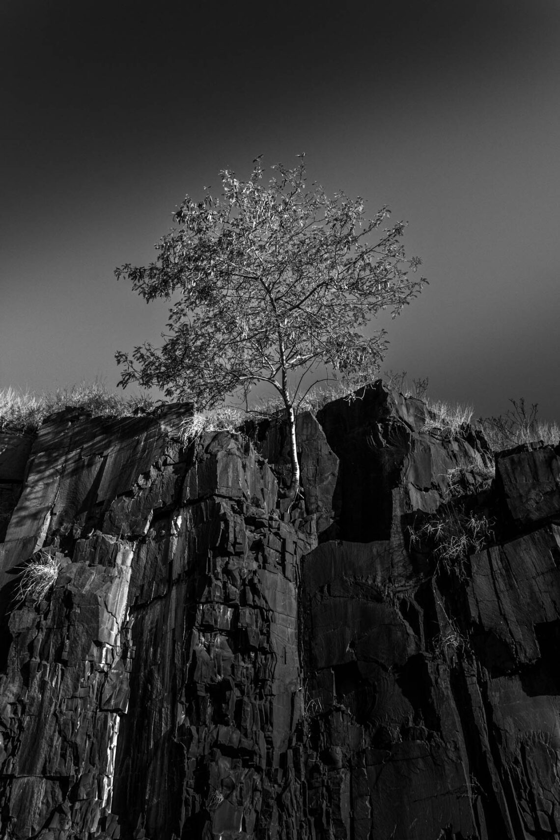 Vida às margens do abismo