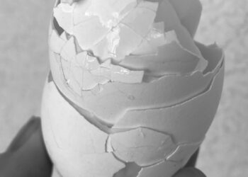 A delicadeza do gesto