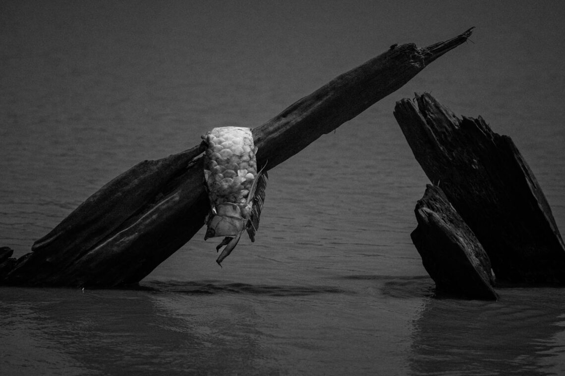 Quando secar o rio da minha infância