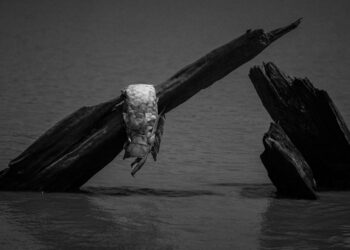 Quando secar o rio da minha infância