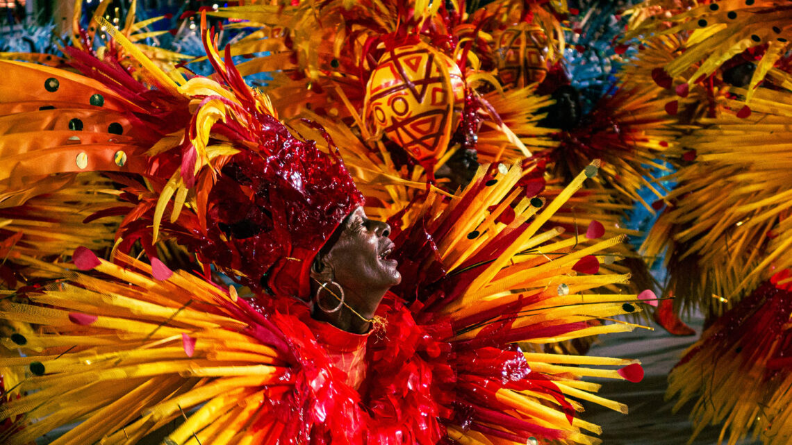 Nosso Destino É Ser Onça