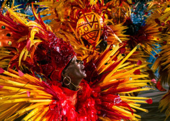 Nosso Destino É Ser Onça