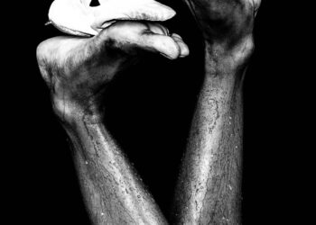 Daily Manifest – Pés para o alto