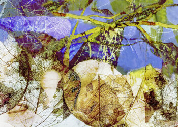 Interlocuções Híbridas