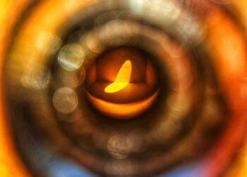 Por dentro do olho humano