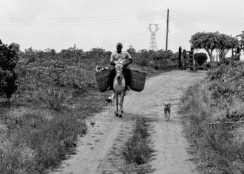 Memórias afetivas do quilombo de Santo Antônio e Vidal