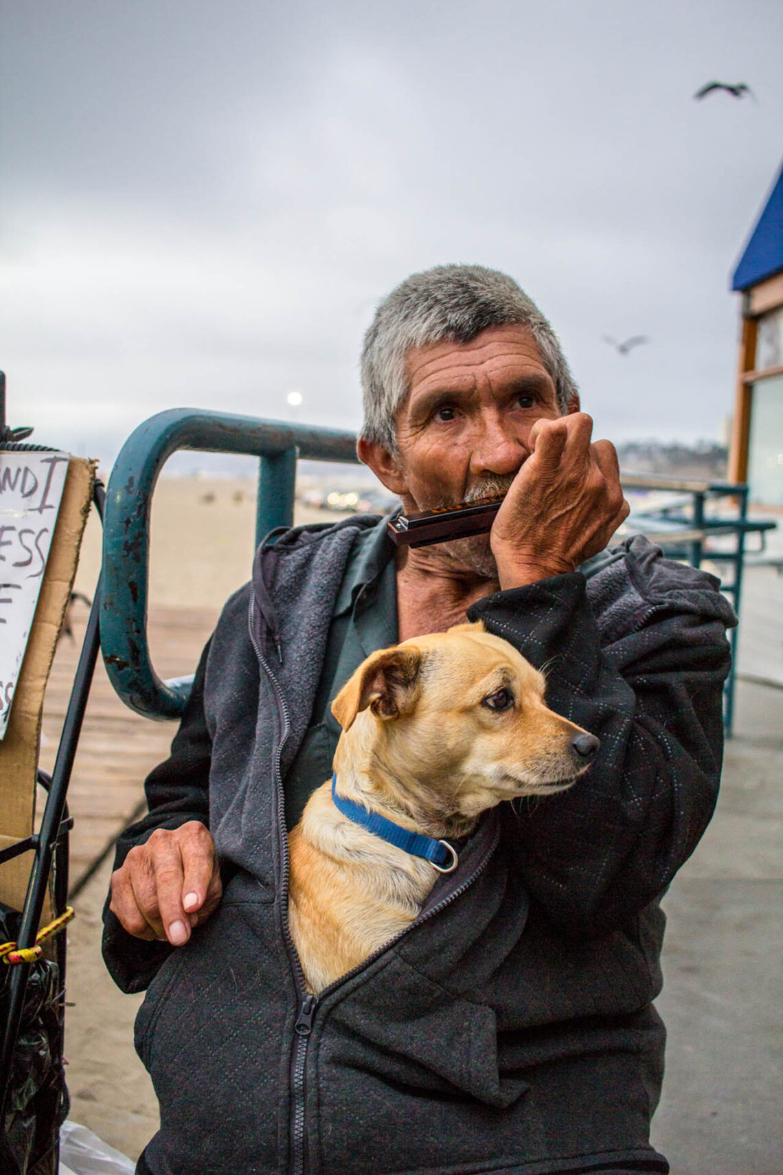 Música para o melhor amigo