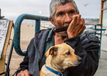 Música para o melhor amigo
