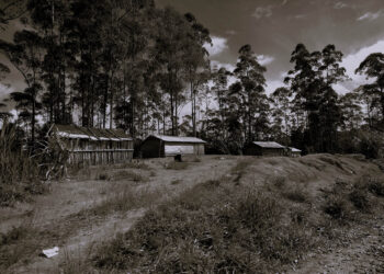 Cultura e Sobrevivência dos povos Indígenas