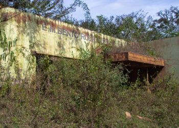 Testemunhas Silentes da Devastação