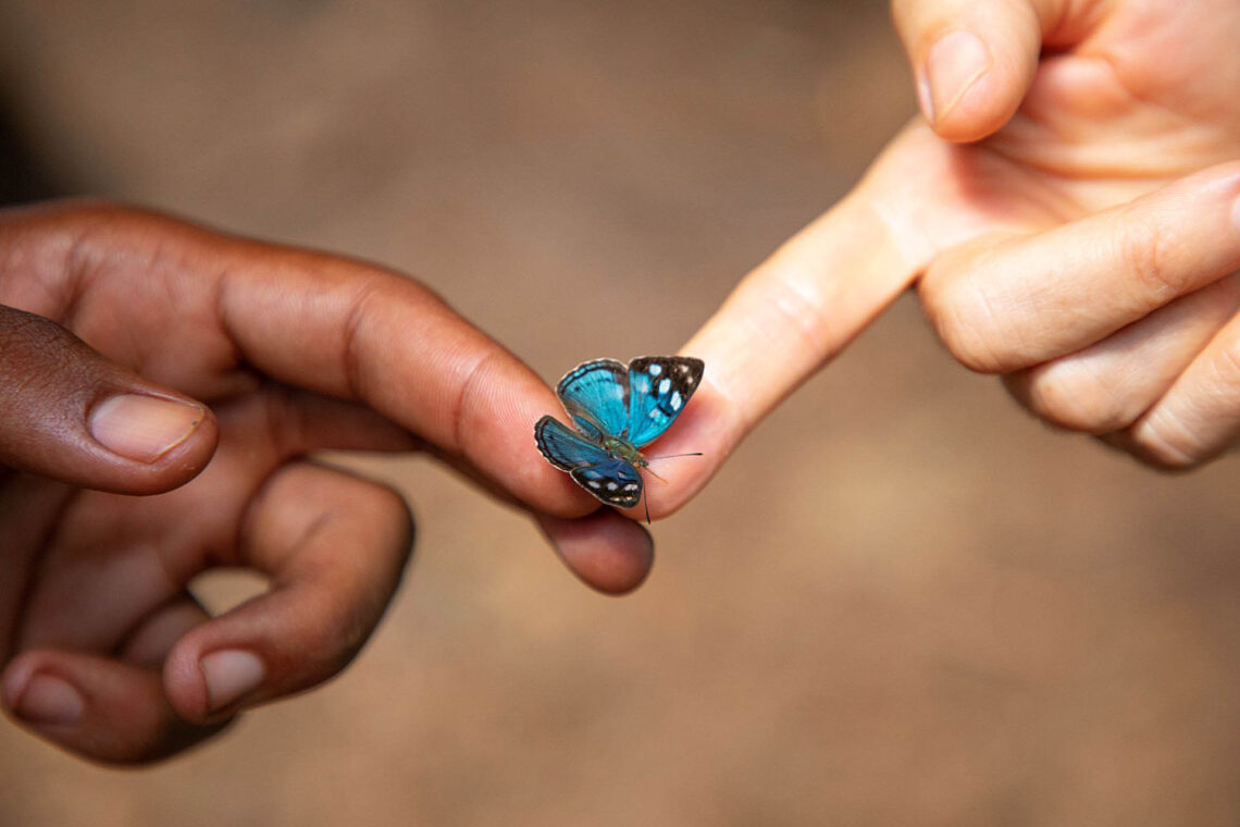 Paz e amor entre os seres humanos