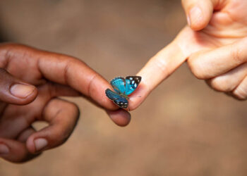 Paz e amor entre os seres humanos