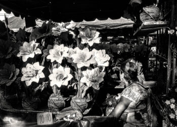 Ambiente democrático