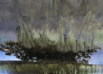 Rabiscos do Mar na Areia