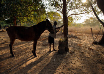 O chão da terra Kalunga