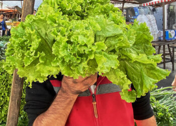 O Feirante nosso de cada dia