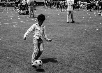 Ensaio sobre a alegria