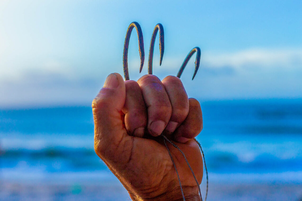 Peixes Racionais