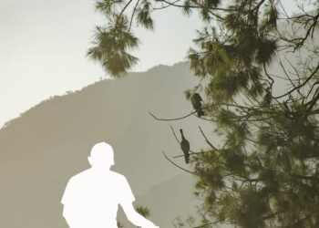 Memórias formadas e cravadas no tempo