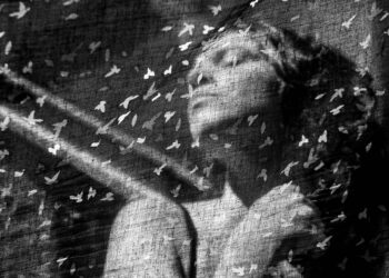 Ivina e os pássaros