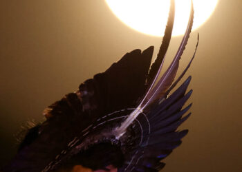 Luar com os povos originários