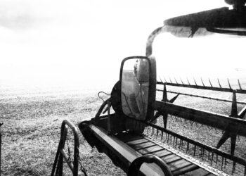 O Dia em que Sonhei com as Máquinas Grandes