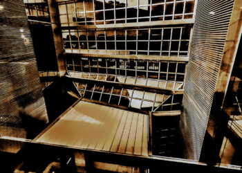 Caosiótica-Sília: Distrito Federal