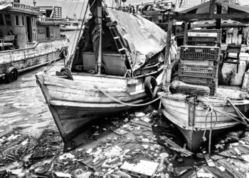 Ver-o-Caos: Retrato de uma Cidade