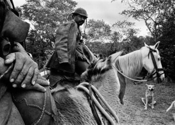 O sertão dos Pankararé