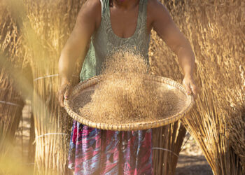 Kalunga e o gergelim