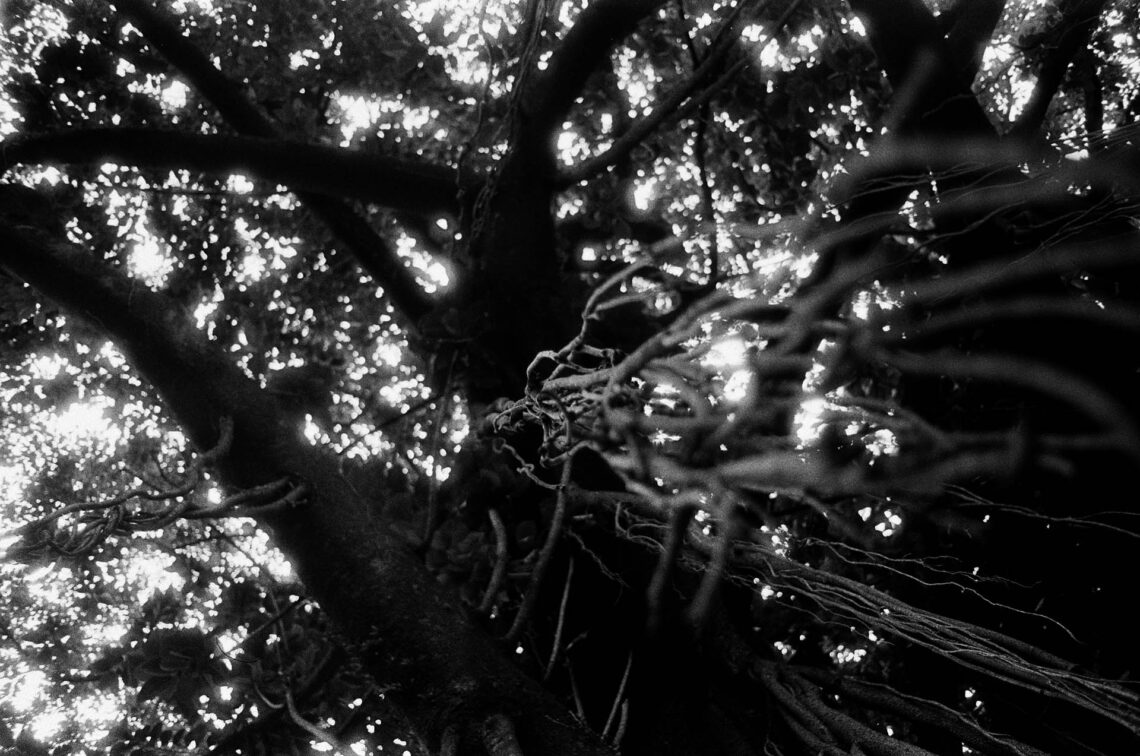 Anotações abstratas