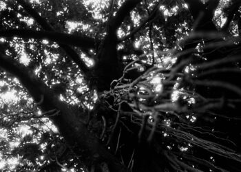 Anotações abstratas